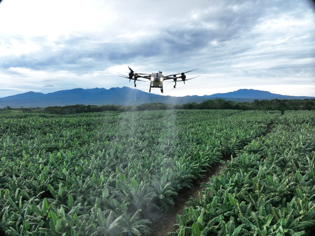 Drones can help farmers in rice self-sufficiency, but the tech faces regulatory hurdles